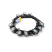 Picture of Elite 110v 22m LED Festoon Modules Light V2 Kit 25W