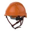 Picture of EVO®5 Dualswitch™ Industrial Safety and Climbing Vented
