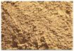 Picture of 25kg Bag Of Sharp Sand (56/pallet)
