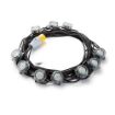 Picture of Elite 110v 22m LED Festoon Modules Light V2 Kit 25W
