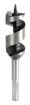 Picture of Auger Bit - Hex Shank 22.0 x 100 1 / EA