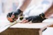 Picture of Scruffs Trade Fingerless Gloves Black