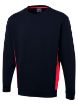 Picture of Two Tone Crew New Sweatshirt