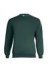 Picture of Eco Sweatshirt