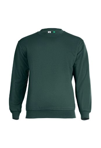Picture of Eco Sweatshirt