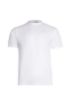 Picture of Eco T Shirt